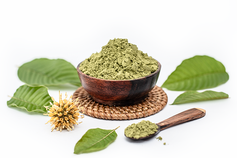 Bubuk kratom dalam mangkuk kayu dengan daun kratom segar, Imperial7Nature
